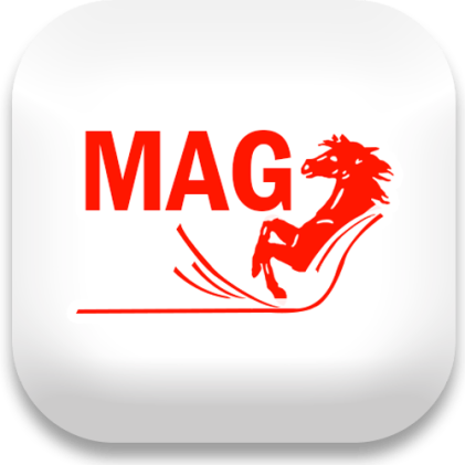 مگ Mag